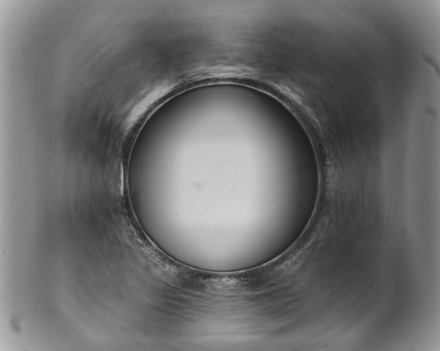 X0000101981317200807251225