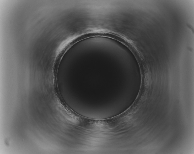 X0000101981319200807251225