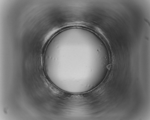 X0000101981320200807251225