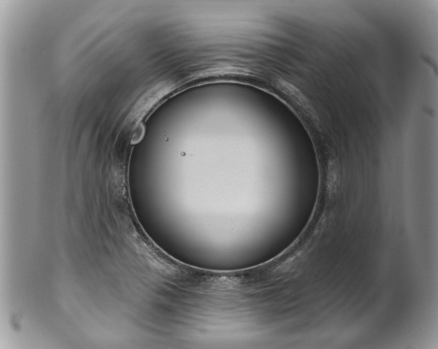 X0000101981321200807251225