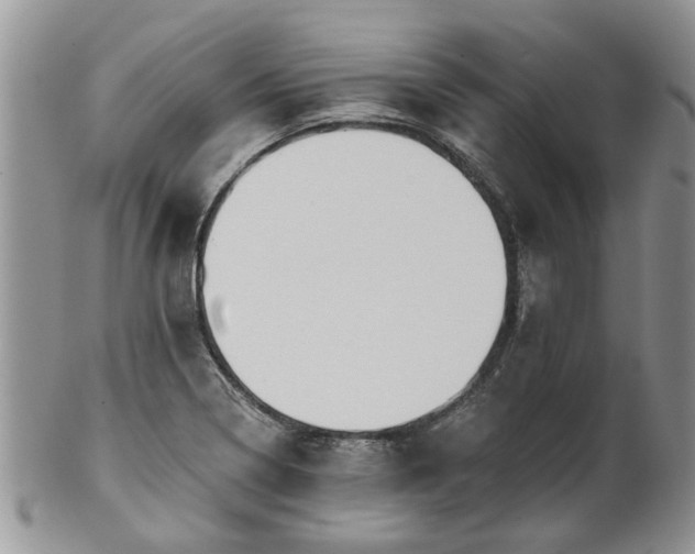 X0000101981322200807251225