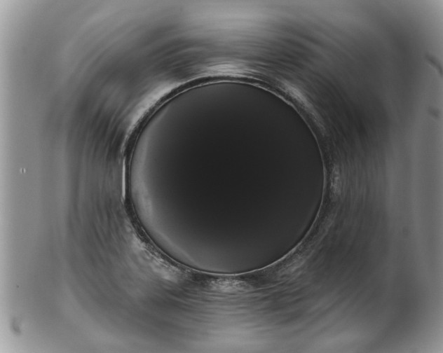 X0000101981323200807251225