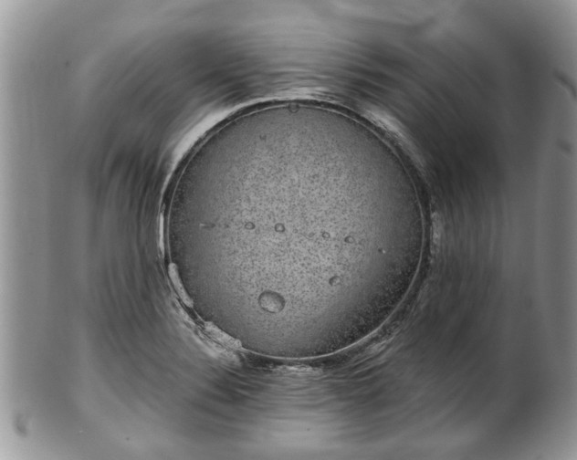 X0000101981324200807251225