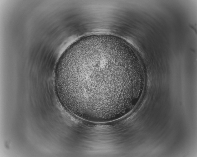 X0000101981325200807251225