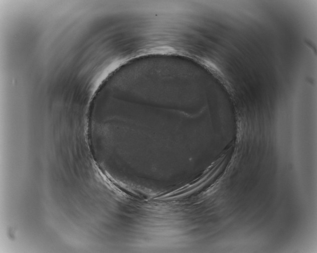 X0000101981326200807251225