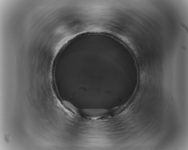 X0000101981327200807251225