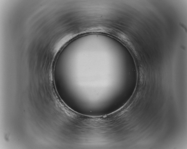 X0000101981328200807251225