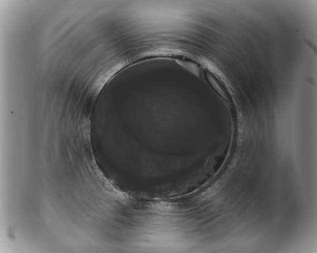 X0000101981329200807251225