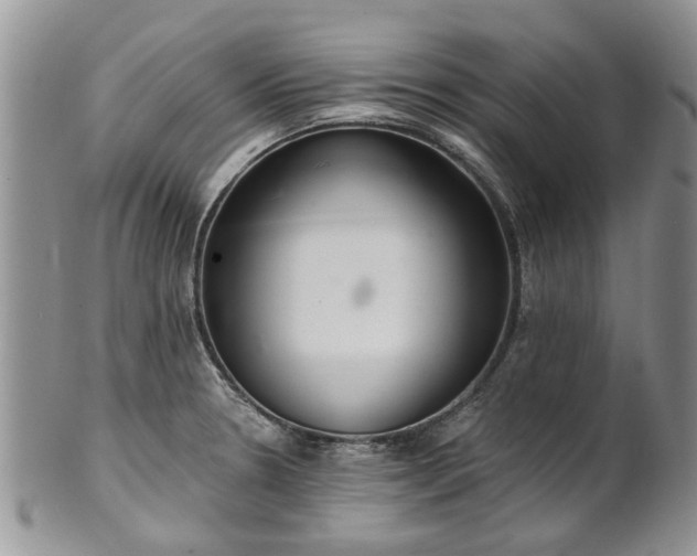 X0000101981330200807251225