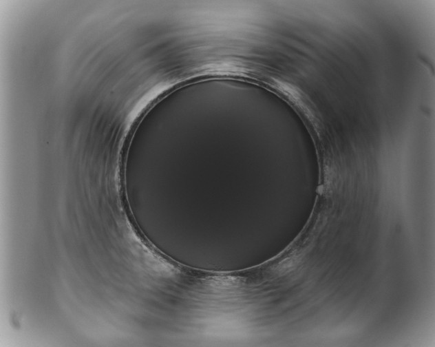 X0000101981331200807251225