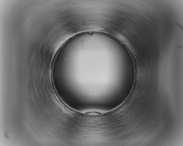 X0000101981332200807251225