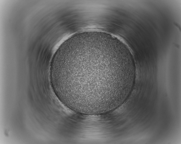 X0000101981333200807251225