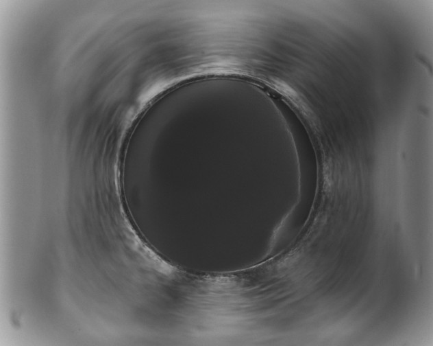 X0000101981334200807251225