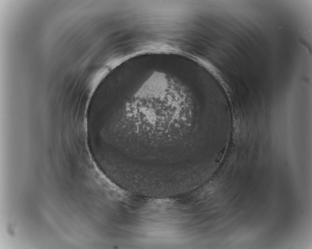 X0000101981335200807251225