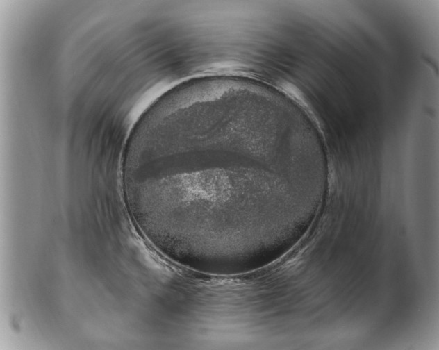 X0000101981336200807251225