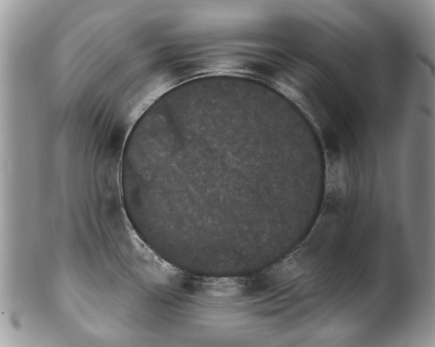 X0000101981338200807251225