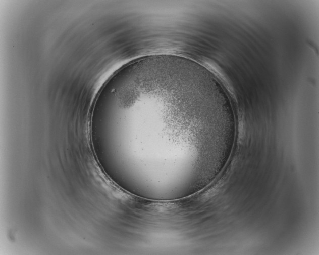 X0000101981340200807251225