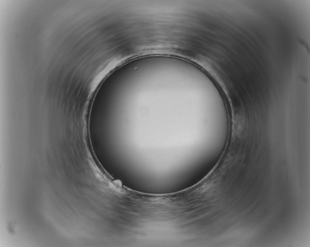 X0000101981341200807251225