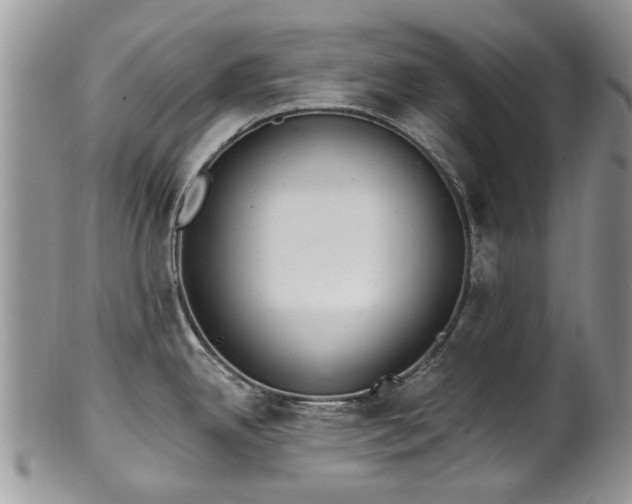 X0000101981342200807251225