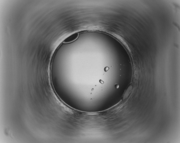 X0000101981343200807251225