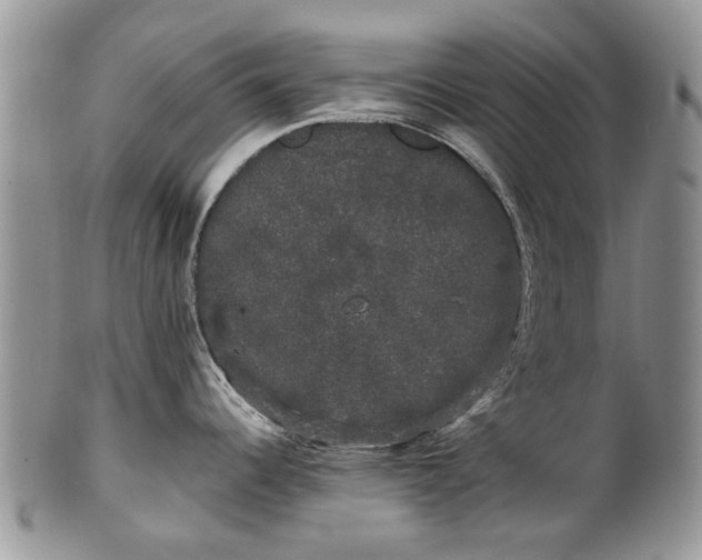 X0000101981344200807251225