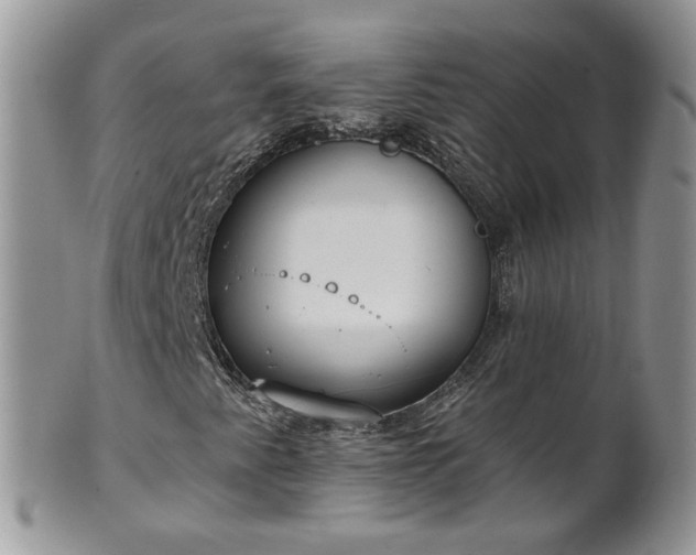 X0000101981345200807251224