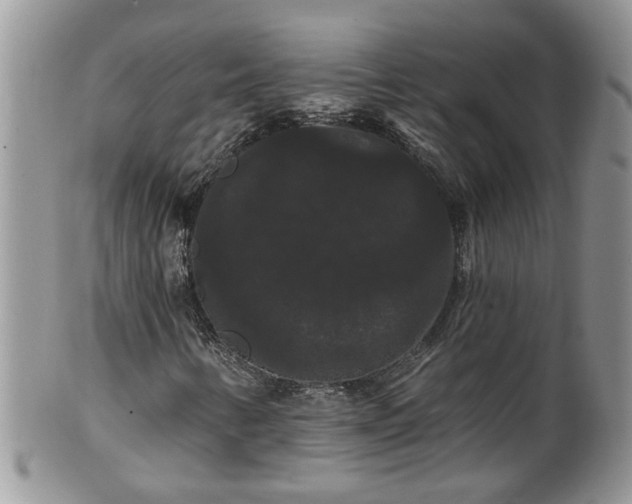 X0000101981346200807251224