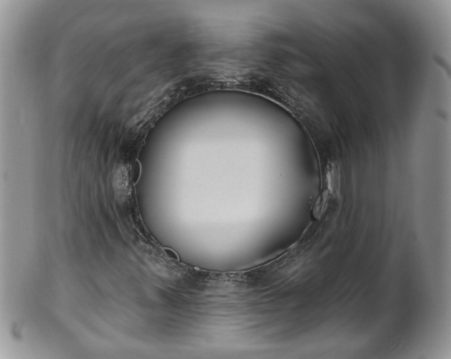 X0000101981347200807251224