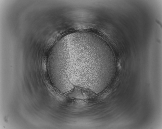 X0000101981348200807251224