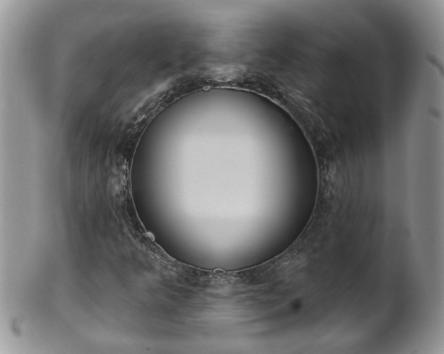 X0000101981349200807251224