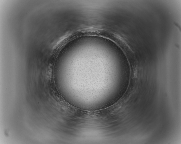 X0000101981350200807251224