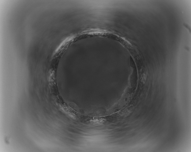 X0000101981351200807251224