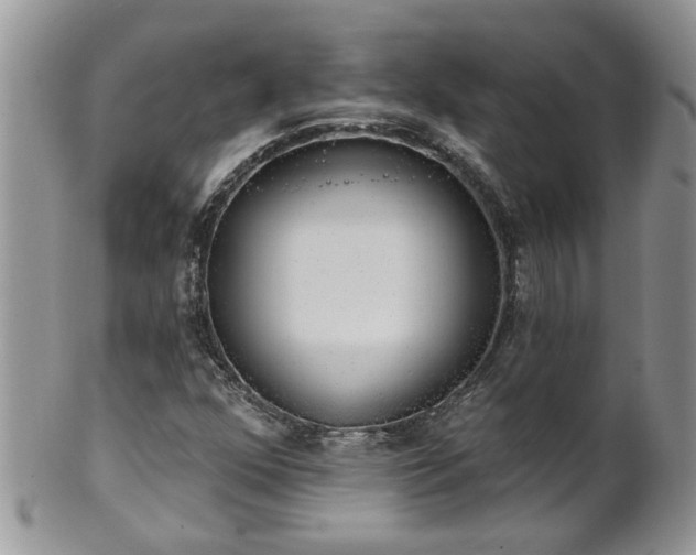 X0000101981352200807251224