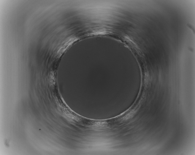 X0000101981353200807251224