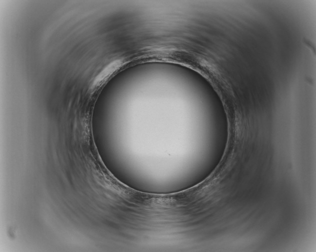 X0000101981354200807251224