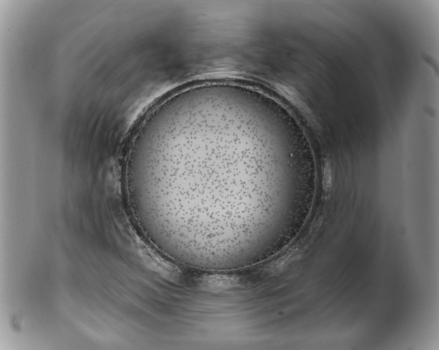 X0000101981356200807251224