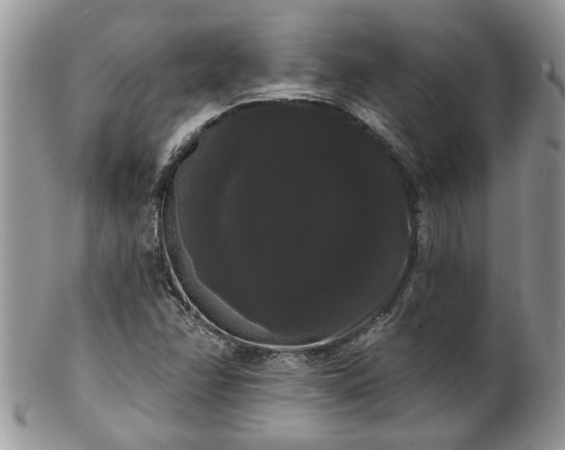 X0000101981358200807251224