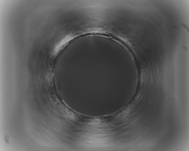 X0000101981359200807251224