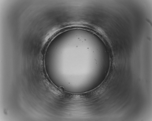 X0000101981360200807251224