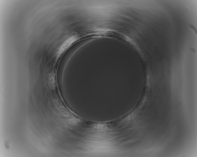 X0000101981362200807251224