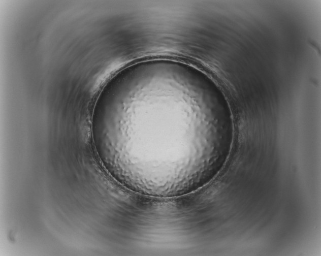 X0000101981363200807251224