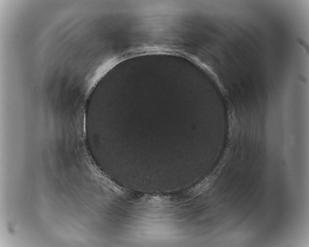 X0000101981365200807251224