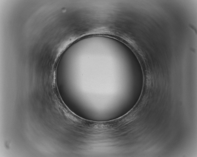 X0000101981366200807251224