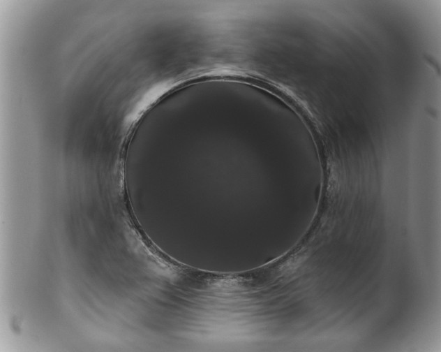 X0000101981367200807251224