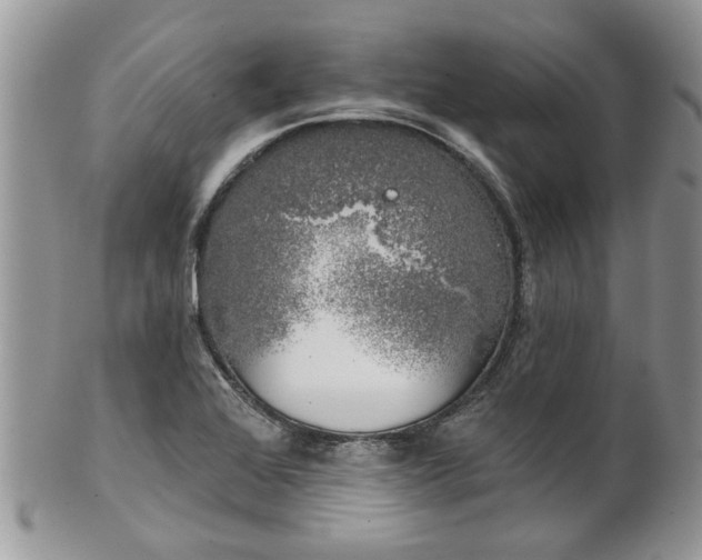 X0000101981368200807251224