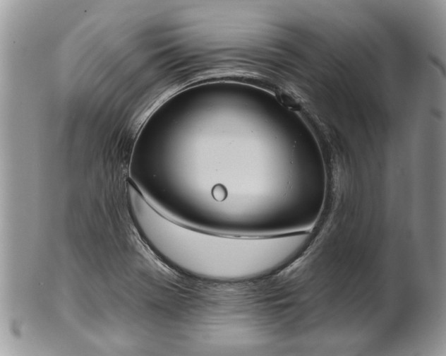 X0000101981369200807251224