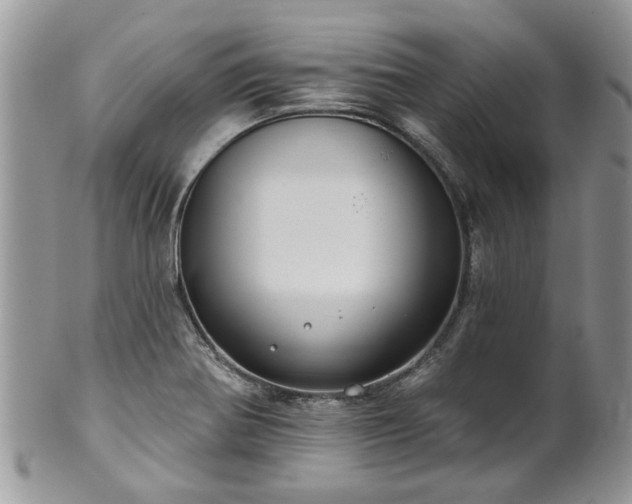 X0000101981370200807251224