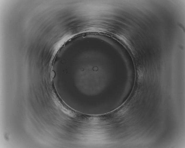 X0000101981371200807251224