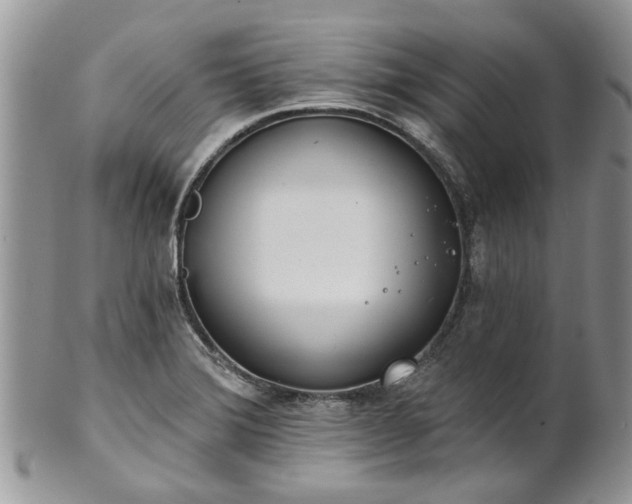 X0000101981372200807251224