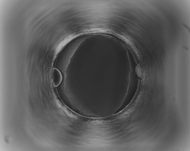 X0000101981373200807251224